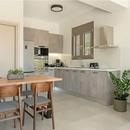 别墅 Brand New: Kefalonia Stone - Trapezaki Retreat