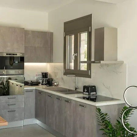 别墅 Brand New: Kefalonia Stone - Trapezaki Retreat *